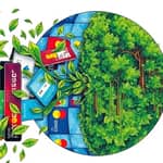 El Impacto Ambiental de las Tarjetas: Hacia un Consumo más Consciente